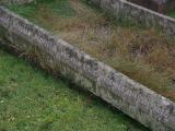 image of grave number 913555